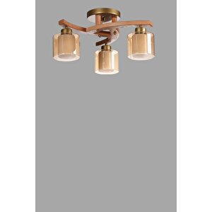 Weston 3 Lü Naturel Çi̇ft Camli Plofonyer Avi̇ze