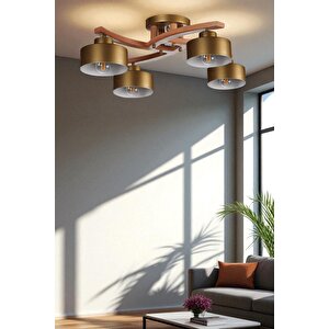 Weston 4 Lü Naturel Metal Başlikli Plofonyer Avi̇ze