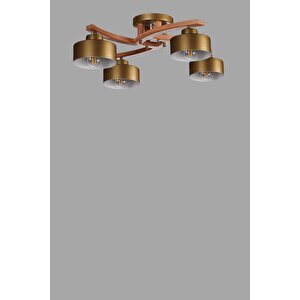 Weston 4 Lü Naturel Metal Başlikli Plofonyer Avi̇ze