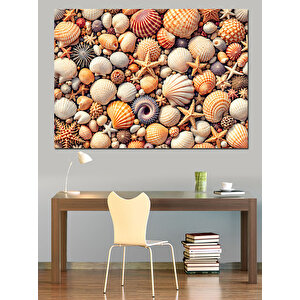 Renkli Karışık Deniz Kabukları Dekoratif Kanvas - Mdf Ahşap Tablo 70x100 cm