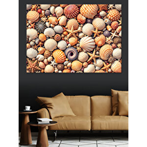 Renkli Karışık Deniz Kabukları Dekoratif Kanvas - Mdf Ahşap Tablo