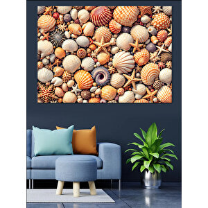 Renkli Karışık Deniz Kabukları Dekoratif Kanvas - Mdf Ahşap Tablo 100x140 cm