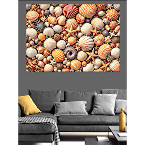 Renkli Karışık Deniz Kabukları Dekoratif Kanvas - Mdf Ahşap Tablo