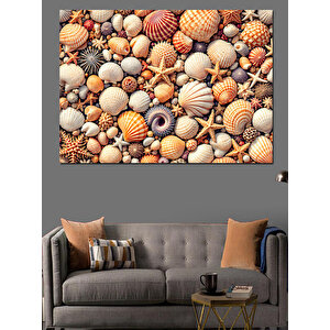 Renkli Karışık Deniz Kabukları Dekoratif Kanvas - Mdf Ahşap Tablo 50x70 cm
