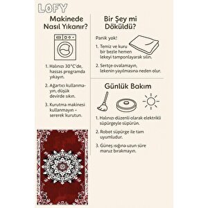 Halı – Kırmızı; Beyaz; Siyah – Geleneksel Desen, Pamuk Dokuma Taban, Makinede Yıkanabilir, Kolay Temizlenebilir, Toz Ve Tüy Tutmaz, Kaymaz, Evcil Hayvan Dostu