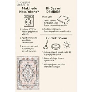 Yıkanabilir Halı – Pudra; Gri; Krem – Geleneksel Desen, Pamuk Dokuma Taban, Makinede Yıkanabilir, Kolay Temizlenebilir, Toz Ve Tüy Tutmaz, Kaymaz, Evcil Hayvan Dostu