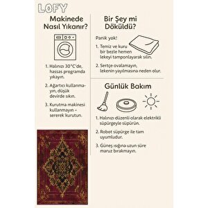 Halı – Kırmızı; Siyah; Gold – Geleneksel Desen, Pamuk Dokuma Taban, Makinede Yıkanabilir, Kolay Temizlenebilir, Toz Ve Tüy Tutmaz, Kaymaz, Evcil Hayvan Dostu