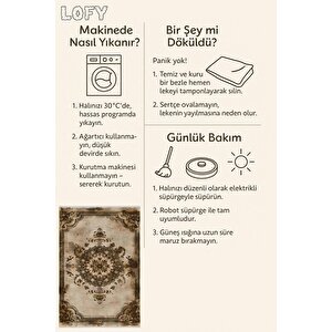 Halı – Bej; Kahverengi; Gold – Geleneksel Desen, Pamuk Dokuma Taban, Makinede Yıkanabilir, Kolay Temizlenebilir, Toz Ve Tüy Tutmaz, Kaymaz, Evcil Hayvan Dostu