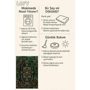 Halı – Yeşil; Siyah; Gold – Geleneksel Desen, Pamuk Dokuma Taban, Makinede Yıkanabilir, Kolay Temizlenebilir, Toz Ve Tüy Tutmaz, Kaymaz, Evcil Hayvan Dostu