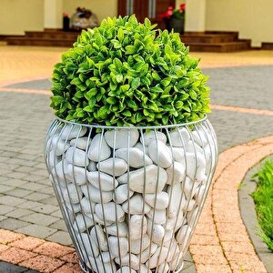 Beyaz Dolomit Taş 18 Kg 6-10 Cm Dere Taşı Çakıl Taşı Saksı Taşı Akvaryum Teraryum Taşı Bahçe Taşı