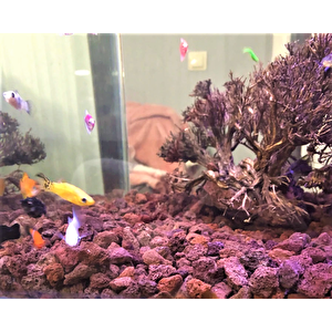 Akvaryum Taşı 18 Kg 10-15 Mm Akvaryum Pomzası Teraryum Taşı Kırmızı Pomza Lav Taşı Volkanik Cüruf