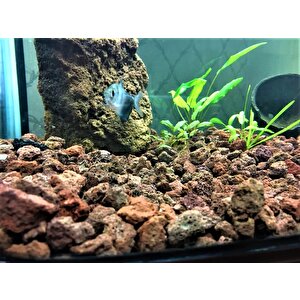 Akvaryum Taşı 18 Kg 10-15 Mm Akvaryum Pomzası Teraryum Taşı Kırmızı Pomza Lav Taşı Volkanik Cüruf