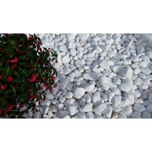 Beyaz Dolomit Taş 13 Kg 6-10 Cm Dere Taşı Çakıl Taşı Saksı Taşı Akvaryum Teraryum Taşı Bahçe Taşı