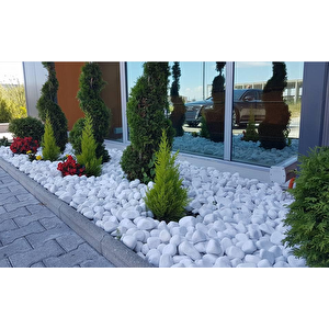 Dolomit Taş 6 Kg 6-10 Cm Beyaz Dolomit Taş Saksı Dibi Dekoratif Taş Bahçe Süsleme Taşı Peyzaj Taşı