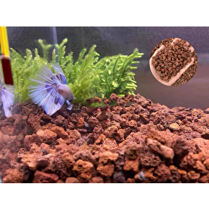 Akvaryum Taşı 1 Kg 10-15 Mm Akvaryum Pomzası Teraryum Taşı Kırmızı Pomza Lav Taşı Volkanik Cüruf