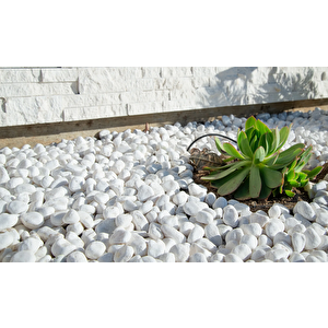 Dolomit Taş 3 Kg 6-10 Cm Beyaz Dolomit Taş Saksı Dibi Dekoratif Taş Bahçe Süsleme Taşı Peyzaj Taşı