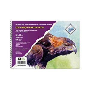 Çok Amaçlı Resim Defteri 25x35 Cm 350g
