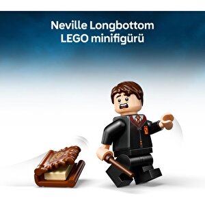 Lego 76449  Harry Potter™ Isıran Canavar Kitap