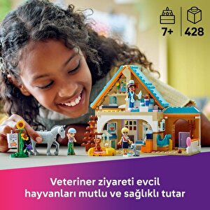 Lego 42651 Friends At Ve Evcil Hayvan Veteriner Kliniği 42651