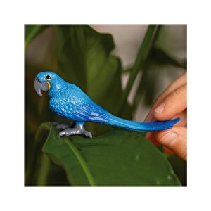 Schleich Sümbül Amerikan Papağanı 14859