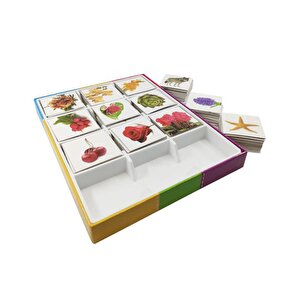 Aklında Tut Eşleştirme Ve Hafıza Oyunu Kartları Morpa Yayınları