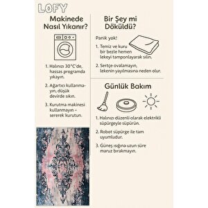 Pamuk Tabanlı Kaymaz Halı – Lacivert; Pembe; Krem – Damask Desen, Makinede Yıkanabilir, Kolay Temizlenebilir, Toz Ve Tüy Tutmaz, Evcil Hayvan Dostu