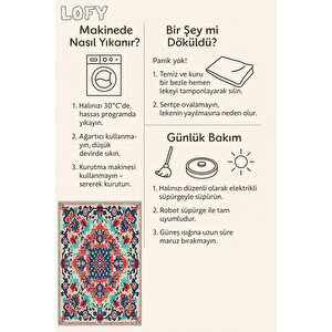 Pamuk Tabanlı Kaymaz Halı – Kırmızı; Lacivert; Yeşil; Krem – Oriental Desen, Makinede Yıkanabilir, Kolay Temizlenebilir, Toz Ve Tüy Tutmaz, Evcil Hayvan Dostu