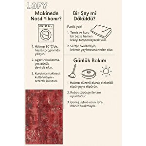 Pamuk Tabanlı Kaymaz Halı – Kırmızı; Bej – Damask Desen, Makinede Yıkanabilir, Kolay Temizlenebilir, Toz Ve Tüy Tutmaz, Evcil Hayvan Dostu