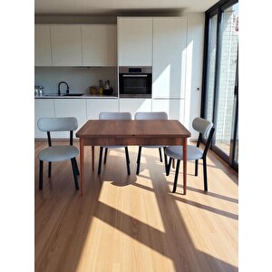 Efe-3093  Cosy 4 Ki̇şi̇li̇k Masa Sandalye  Takimi