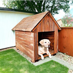 Köpek Kulübesi Ahşap Köpek Evi Köpek Yuvası 2024