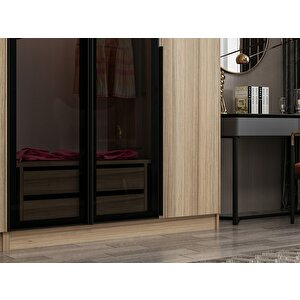 Kale Plus190 5 Kapaklı 2ç Dolap Dore Plus Dore Füme Cam