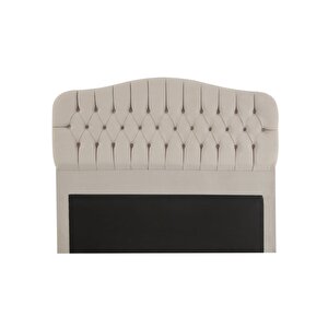 İlkbahar Baza Başlık  140x200 - Siyah Ayak Asya02