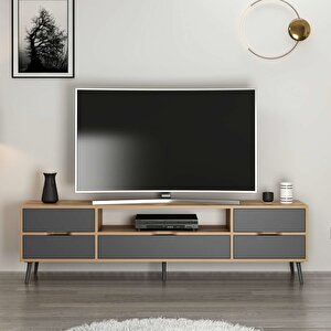Elina Ayaklı Tv Ünitesi Dore-antr
