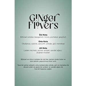 Carpex E2 Power Eco-x Difüzör Koku Makinesi + Ginger Flowers 125 Ml Koku Kartuş
