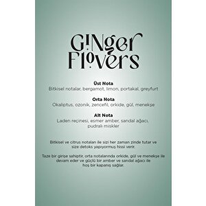 Carpex A1 Eco-x Geniş Alan Difüzör Koku Makinesi + Ginger Flowers 200 Ml Koku Kartuş