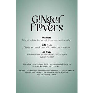 Carpex Ginger Flowers 200 Ml. Classic Seri A1 Makine Koku Kartuşu 6 Adet