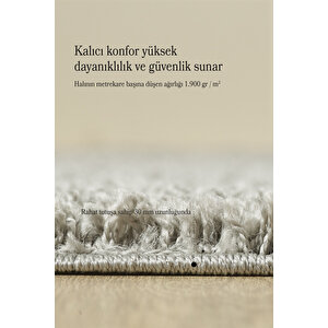 Modern Desensiz Açık Gri Halı Salon Halısı Oturma Odası Halısı Çocuk Halısı Yumuşak Halı Yuvarlak