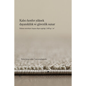 Modern Halı Sisal Bukle Halı Kahverengi Halı Salon Halısı Oturma Odası Halısı Koridor Halısı Yolluk