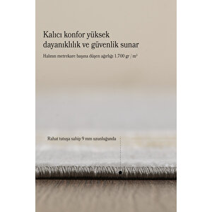 Salon Halısı Oturma Odası Halısı Mutfak Halısı Polyester Halı Gold Halı Modern Halı Yumuşak Halı