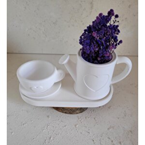 Beton Dekoratif Set
