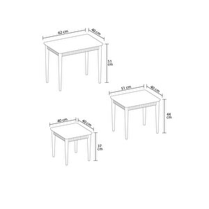 Elegance Beyaz Mdf Lake Boyalı Tabla Gürgen Ayaklı 3 Lü Zigon Sehpa Takımı Çay Sehpası Servis Sehpa