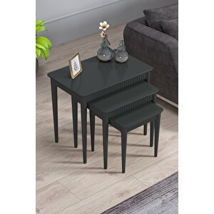 Elegance Antrasit Mdf Lake Boyalı Tabla Gürgen Ayak 3 Lü Zigon Sehpa Takımı Çay Sehpası Servis Sehpa