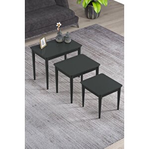 Elegance Antrasit Mdf Lake Boyalı Tabla Gürgen Ayak 3 Lü Zigon Sehpa Takımı Çay Sehpası Servis Sehpa