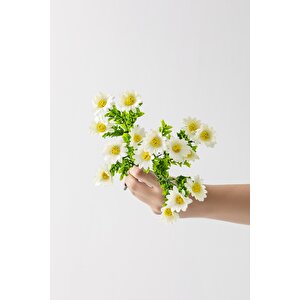 Yapay Papatya Demeti 35 Cm 5 Dal