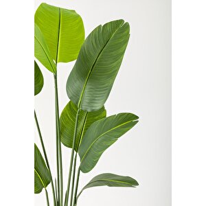 Yapay Starliçe Ağacı 140 Cm Geniş Yapraklı