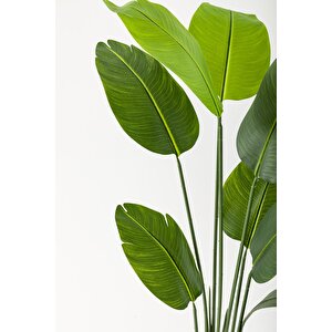 Yapay Starliçe Ağacı 140 Cm Geniş Yapraklı