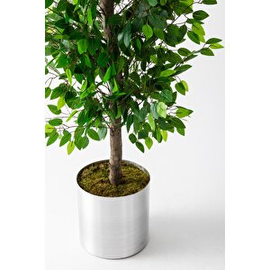 Yapay Benjamin Ağacı 200 Cm