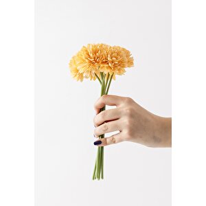 Yapay Kasımpatı Çiçeği Pastel Sarı 25 Cm 7 Dal