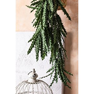 Yapay Sarmaşık Kaktüs Uv Korumalı 80 Cm 5 Dal