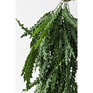 Yapay Sarmaşık Kaktüs Uv Korumalı 80 Cm 5 Dal
